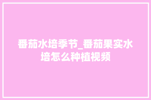 番茄水培季节_番茄果实水培怎么种植视频