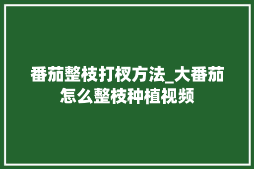 番茄整枝打杈方法_大番茄怎么整枝种植视频