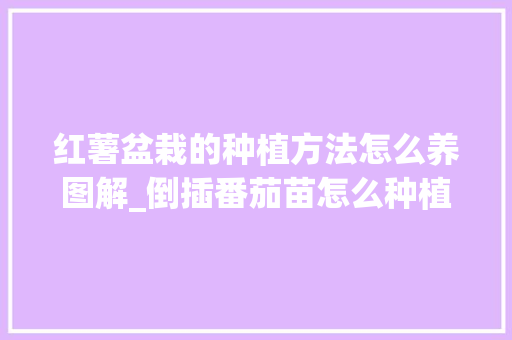 红薯盆栽的种植方法怎么养图解_倒插番茄苗怎么种植呢视频