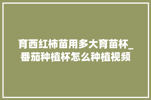 育西红柿苗用多大育苗杯_番茄种植杯怎么种植视频 育西红柿苗用多大育苗杯_番茄种植杯怎么种植视频 植物种类