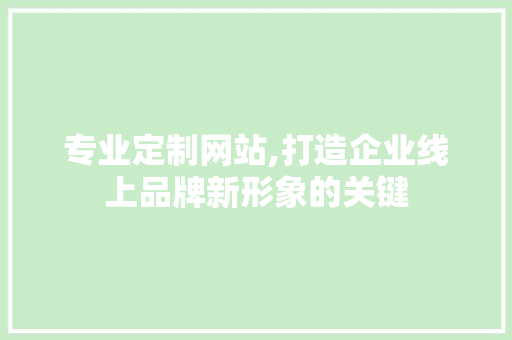 专业定制网站,打造企业线上品牌新形象的关键