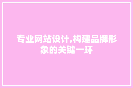 专业网站设计,构建品牌形象的关键一环