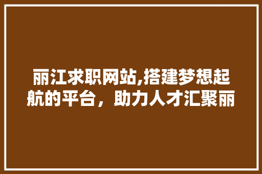 丽江求职网站,搭建梦想起航的平台，助力人才汇聚丽江