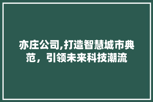 亦庄公司,打造智慧城市典范，引领未来科技潮流