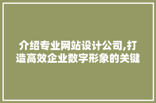 介绍专业网站设计公司,打造高效企业数字形象的关键伙伴