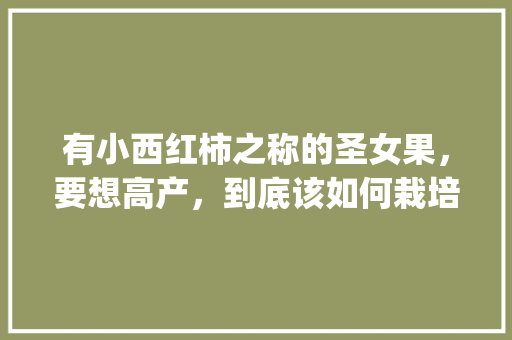 有小西红柿之称的圣女果，要想高产，到底该如何栽培_种植小番茄怎么保养好