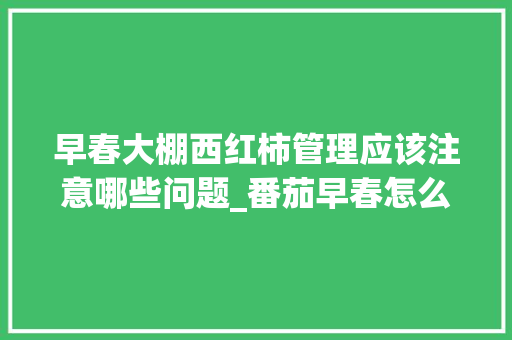 早春大棚西红柿管理应该注意哪些问题_番茄早春怎么种植视频 早春大棚西红柿管理应该注意哪些问题_番茄早春怎么种植视频 植物种类