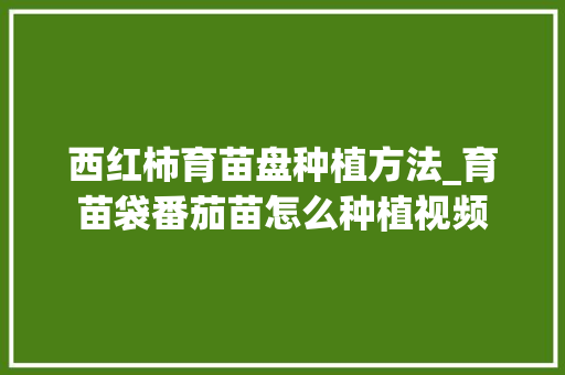 西红柿育苗盘种植方法_育苗袋番茄苗怎么种植视频
