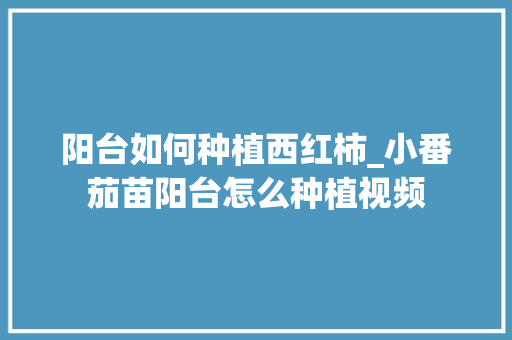 阳台如何种植西红柿_小番茄苗阳台怎么种植视频