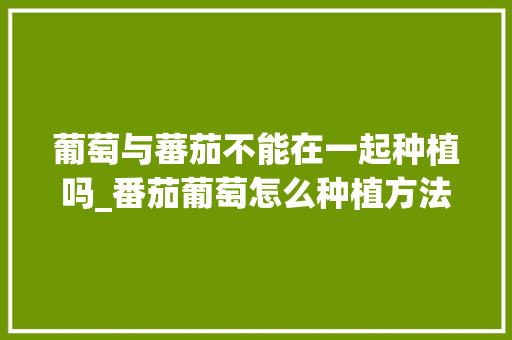 葡萄与蕃茄不能在一起种植吗_番茄葡萄怎么种植方法视频