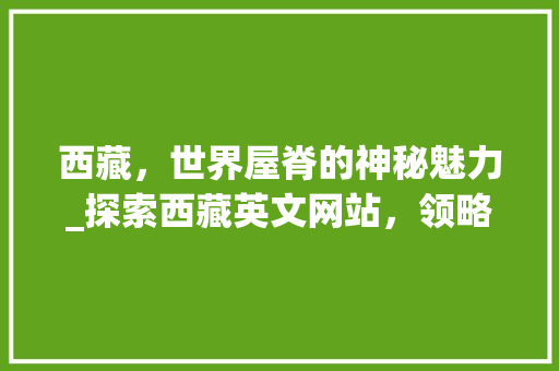 西藏，世界屋脊的神秘魅力_探索西藏英文网站，领略西藏风情
