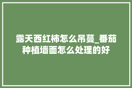 露天西红柿怎么吊蔓_番茄种植墙面怎么处理的好