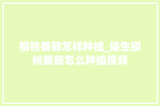 樱桃番茄怎样种植_矮生樱桃番茄怎么种植视频