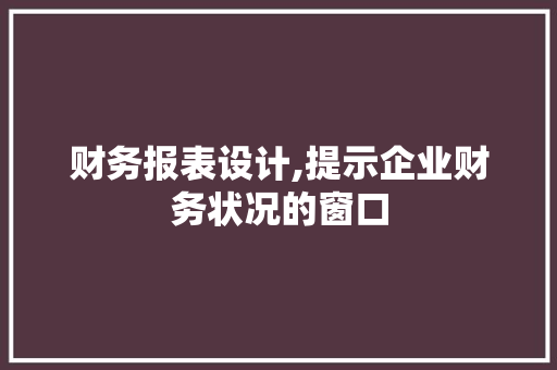 财务报表设计,提示企业财务状况的窗口