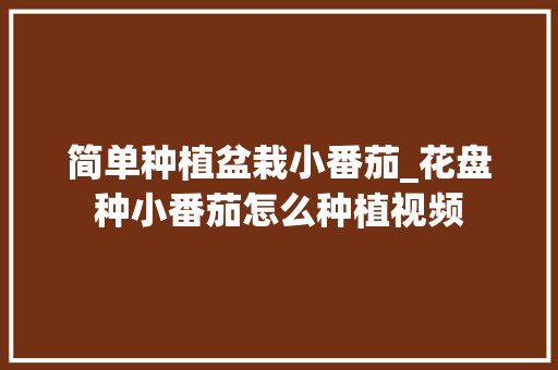 简单种植盆栽小番茄_花盘种小番茄怎么种植视频