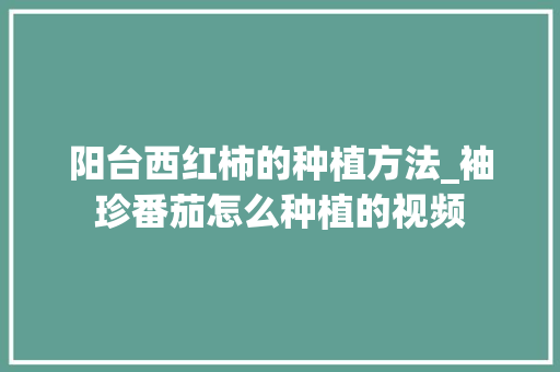 阳台西红柿的种植方法_袖珍番茄怎么种植的视频