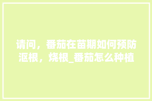 请问，番茄在苗期如何预防沤根，烧根_番茄怎么种植不发芽呢