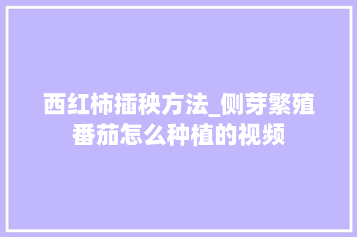 西红柿插秧方法_侧芽繁殖番茄怎么种植的视频 西红柿插秧方法_侧芽繁殖番茄怎么种植的视频 番茄病虫害防治