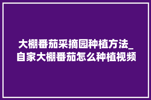 大棚番茄采摘园种植方法_自家大棚番茄怎么种植视频