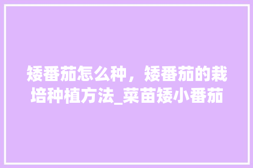 矮番茄怎么种，矮番茄的栽培种植方法_菜苗矮小番茄怎么种植视频 矮番茄怎么种，矮番茄的栽培种植方法_菜苗矮小番茄怎么种植视频 花朵知识