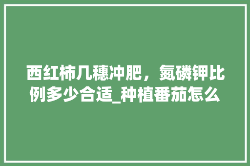 西红柿几穗冲肥，氮磷钾比例多少合适_种植番茄怎么用肥料 西红柿几穗冲肥，氮磷钾比例多少合适_种植番茄怎么用肥料 土壤施肥