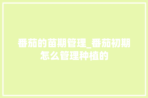 番茄的苗期管理_番茄初期怎么管理种植的 番茄的苗期管理_番茄初期怎么管理种植的 土壤施肥
