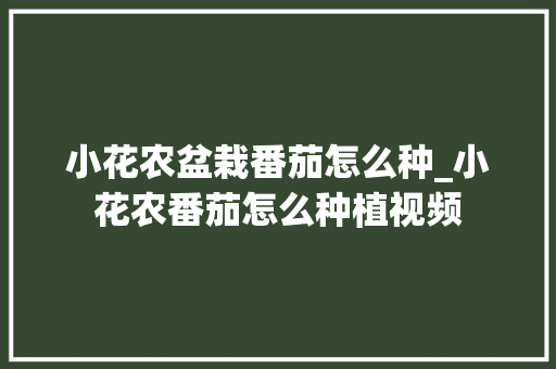 小花农盆栽番茄怎么种_小花农番茄怎么种植视频