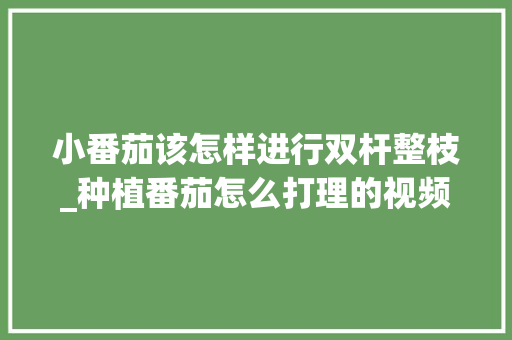 小番茄该怎样进行双杆整枝_种植番茄怎么打理的视频教程