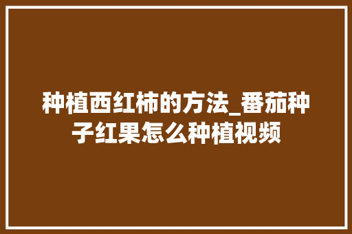 种植西红柿的方法_番茄种子红果怎么种植视频