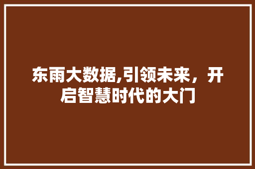 东雨大数据,引领未来，开启智慧时代的大门