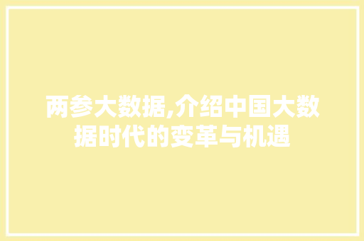 两参大数据,介绍中国大数据时代的变革与机遇