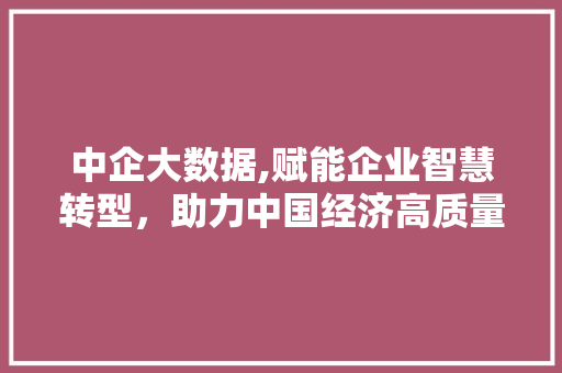 中企大数据,赋能企业智慧转型，助力中国经济高质量发展