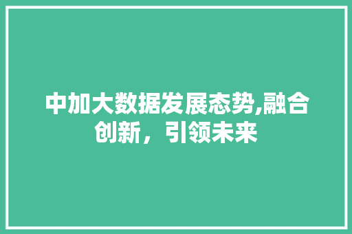 中加大数据发展态势,融合创新，引领未来