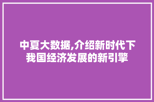 中夏大数据,介绍新时代下我国经济发展的新引擎