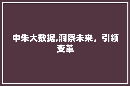 中朱大数据,洞察未来，引领变革