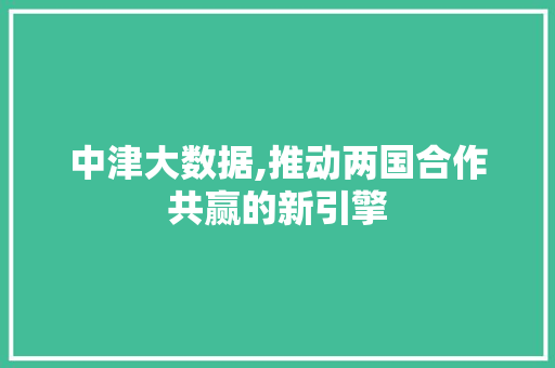 中津大数据,推动两国合作共赢的新引擎