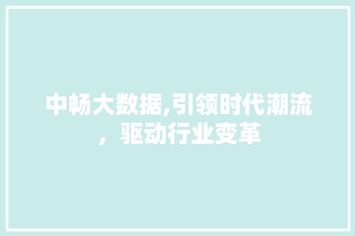 中畅大数据,引领时代潮流，驱动行业变革