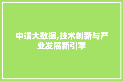 中端大数据,技术创新与产业发展新引擎