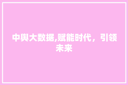 中舆大数据,赋能时代，引领未来