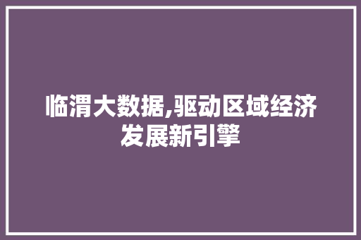 临渭大数据,驱动区域经济发展新引擎
