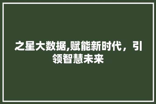 之星大数据,赋能新时代，引领智慧未来