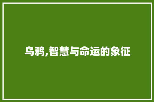 乌鸦,智慧与命运的象征