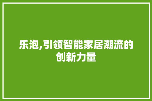 乐泡,引领智能家居潮流的创新力量