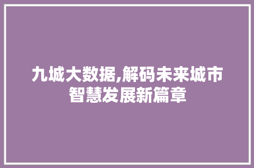 九城大数据,解码未来城市智慧发展新篇章