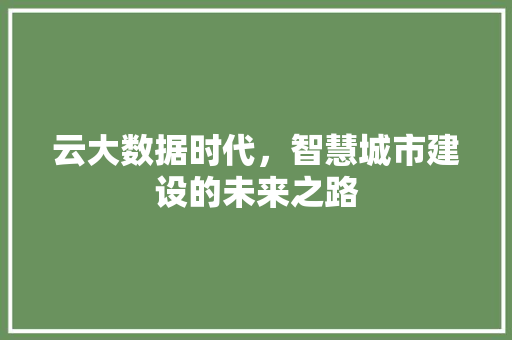 云大数据时代，智慧城市建设的未来之路