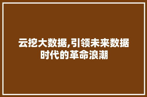 云挖大数据,引领未来数据时代的革命浪潮