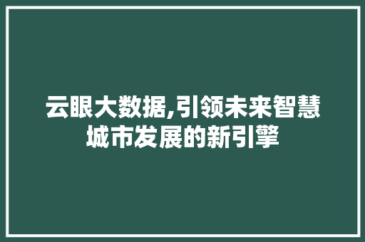 云眼大数据,引领未来智慧城市发展的新引擎