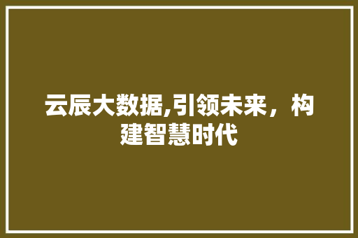 云辰大数据,引领未来，构建智慧时代