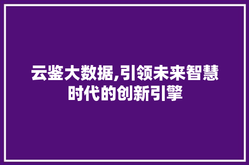 云鉴大数据,引领未来智慧时代的创新引擎