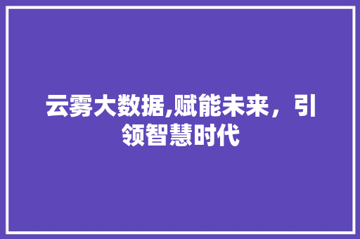 云雾大数据,赋能未来，引领智慧时代